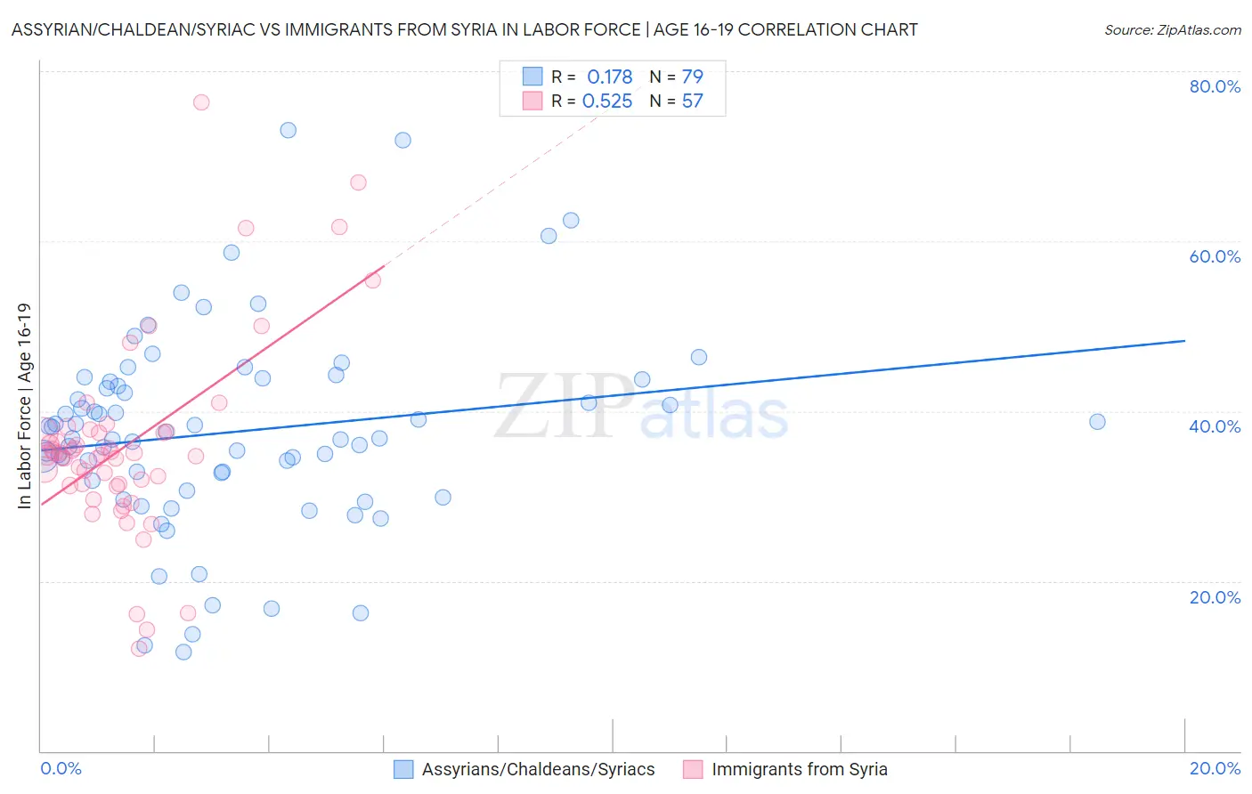 Assyrian/Chaldean/Syriac vs Immigrants from Syria In Labor Force | Age 16-19