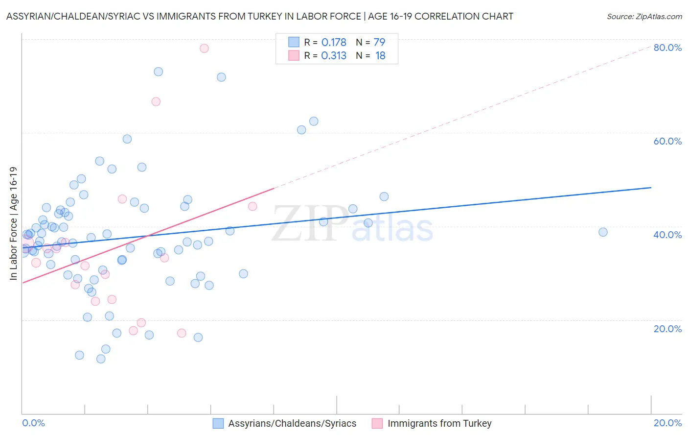 Assyrian/Chaldean/Syriac vs Immigrants from Turkey In Labor Force | Age 16-19