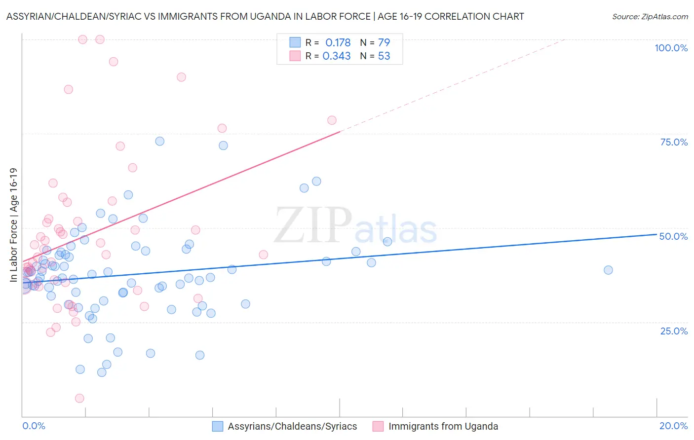Assyrian/Chaldean/Syriac vs Immigrants from Uganda In Labor Force | Age 16-19