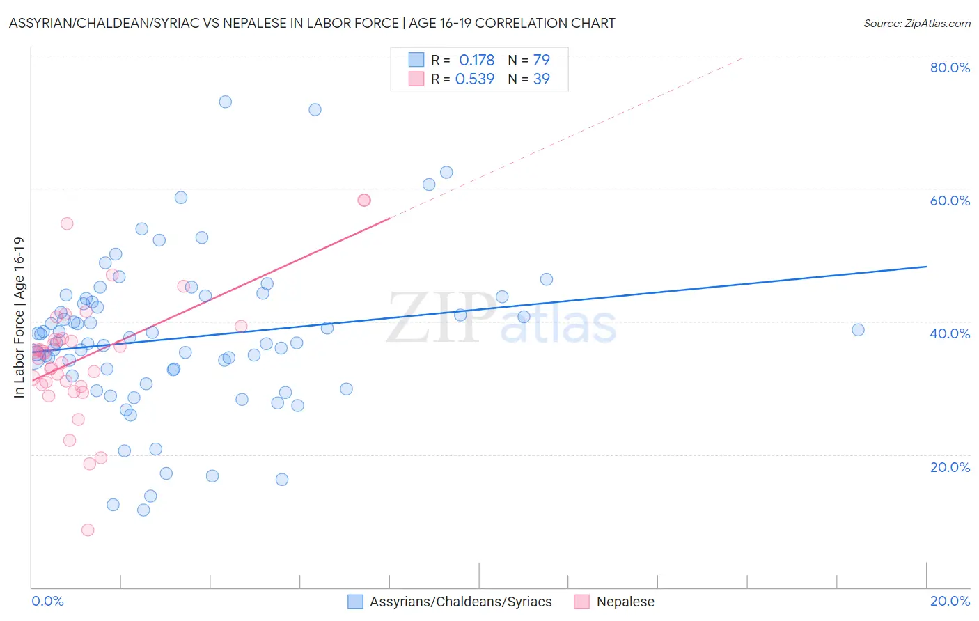 Assyrian/Chaldean/Syriac vs Nepalese In Labor Force | Age 16-19