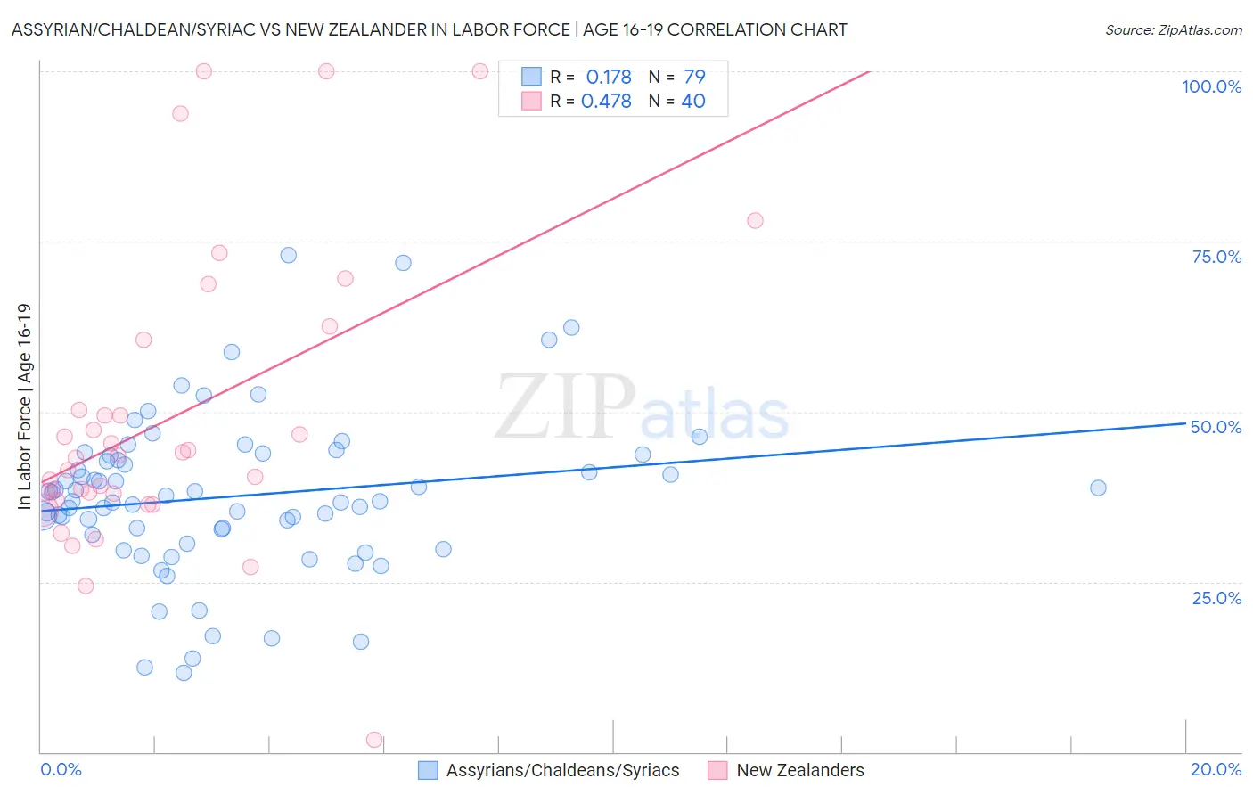 Assyrian/Chaldean/Syriac vs New Zealander In Labor Force | Age 16-19