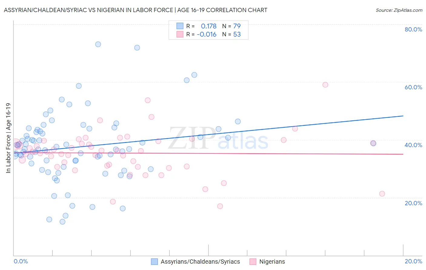 Assyrian/Chaldean/Syriac vs Nigerian In Labor Force | Age 16-19