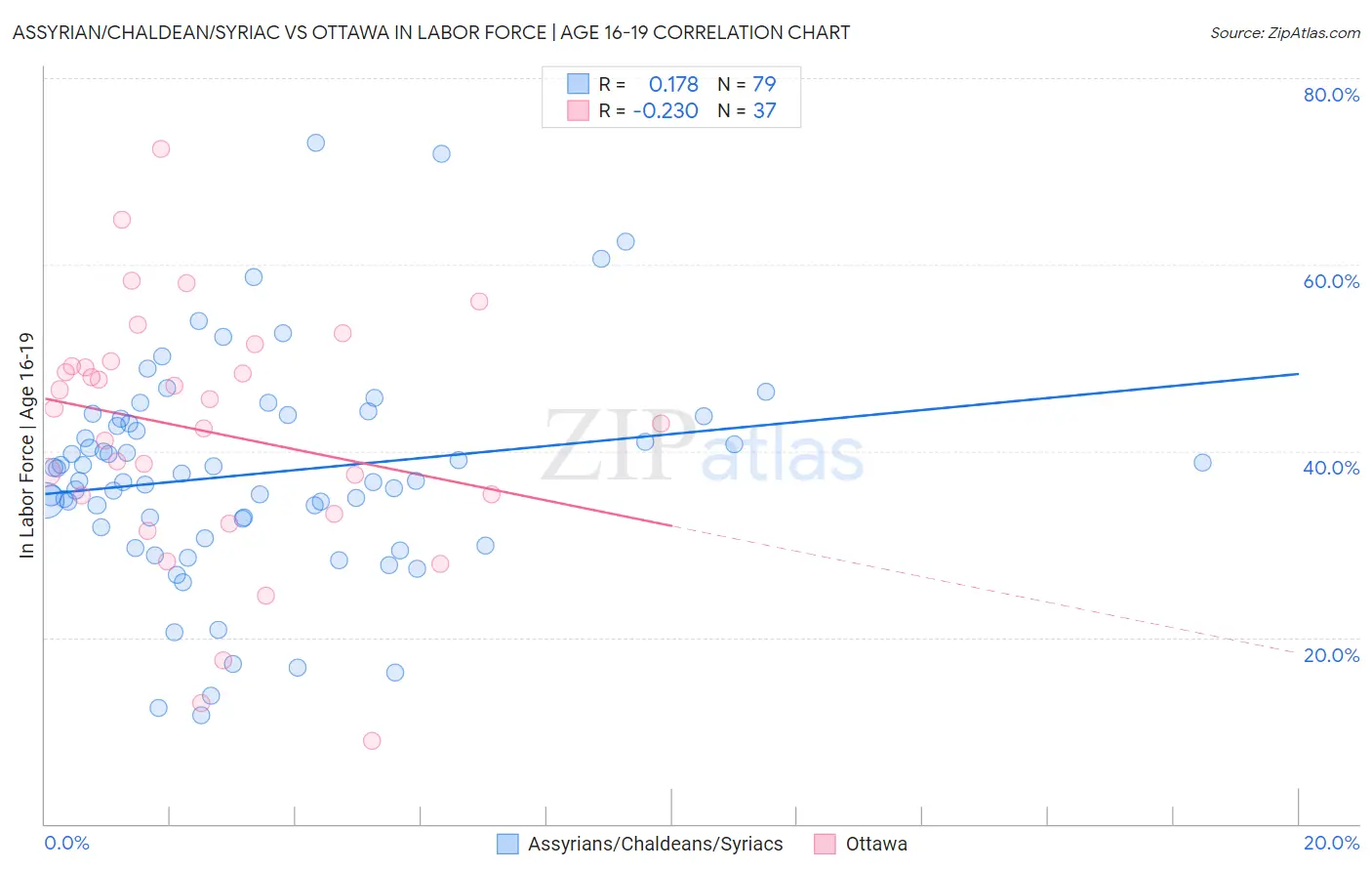 Assyrian/Chaldean/Syriac vs Ottawa In Labor Force | Age 16-19