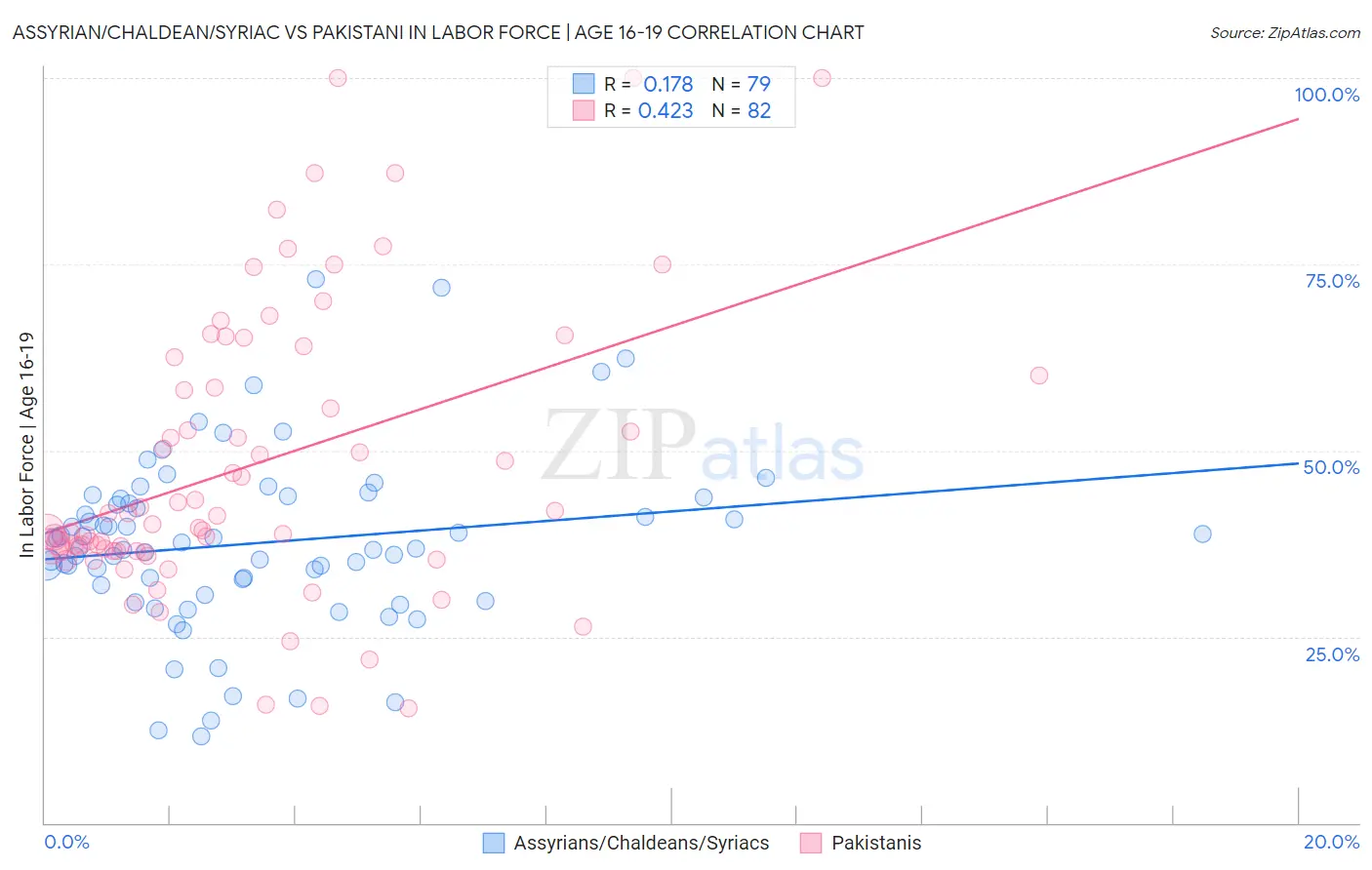 Assyrian/Chaldean/Syriac vs Pakistani In Labor Force | Age 16-19