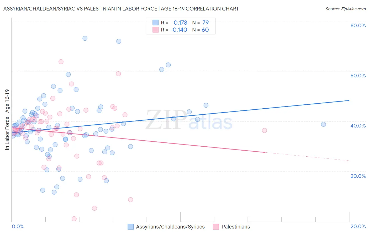 Assyrian/Chaldean/Syriac vs Palestinian In Labor Force | Age 16-19