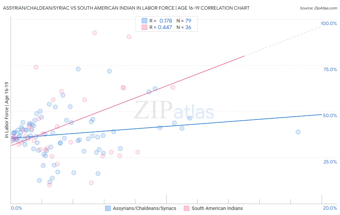 Assyrian/Chaldean/Syriac vs South American Indian In Labor Force | Age 16-19