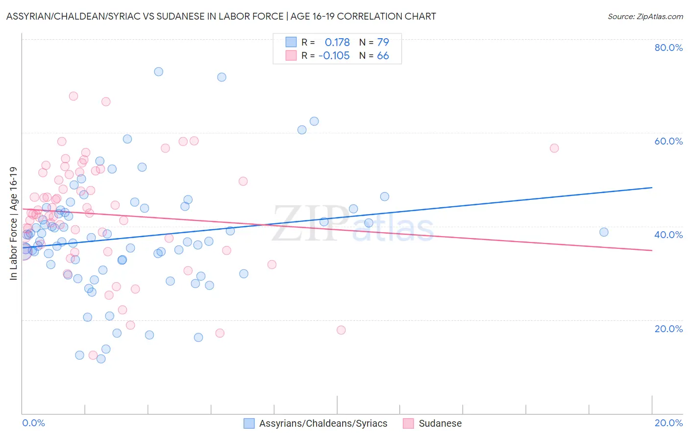 Assyrian/Chaldean/Syriac vs Sudanese In Labor Force | Age 16-19