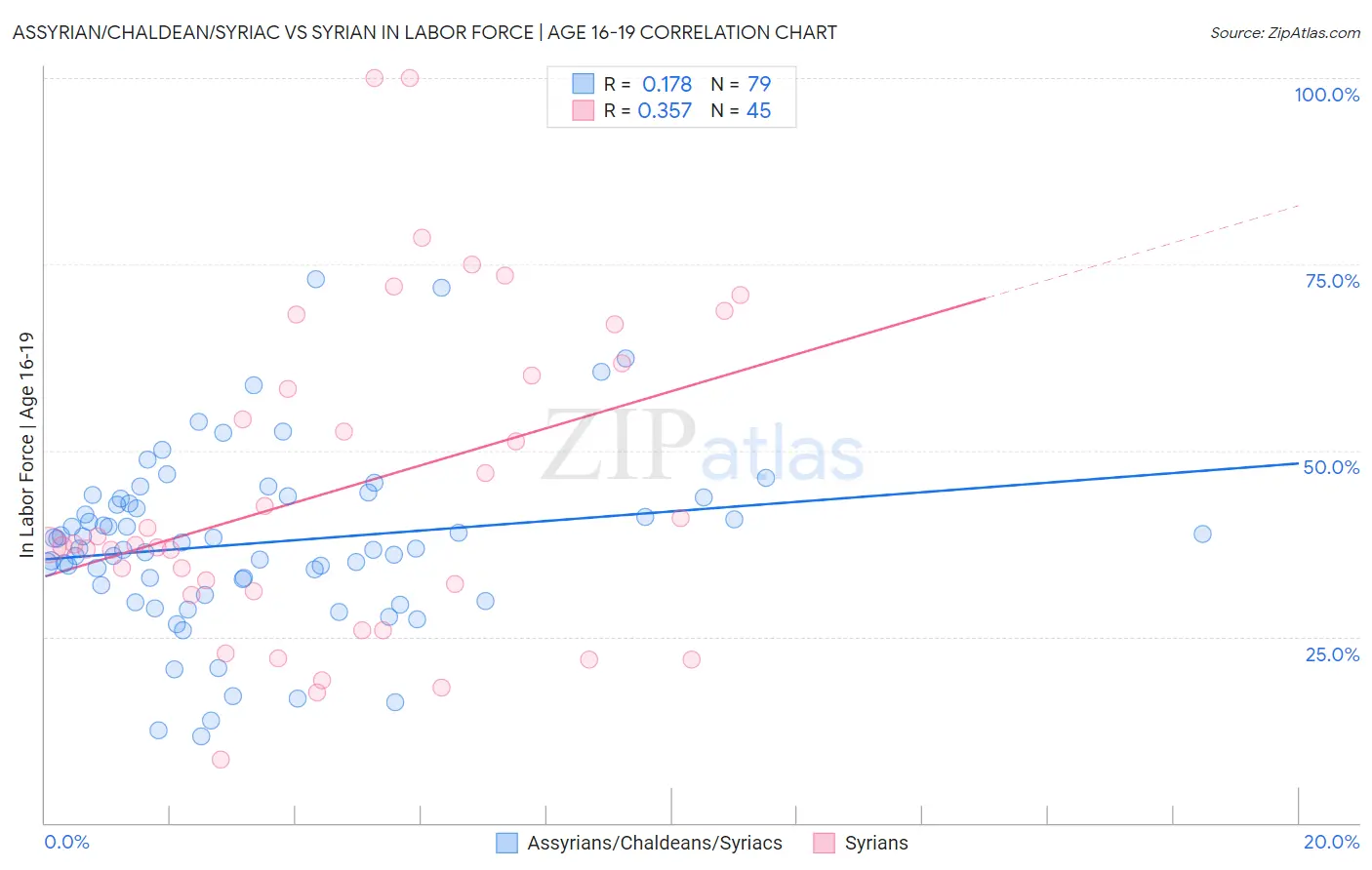 Assyrian/Chaldean/Syriac vs Syrian In Labor Force | Age 16-19