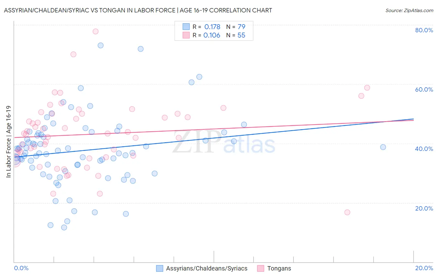 Assyrian/Chaldean/Syriac vs Tongan In Labor Force | Age 16-19