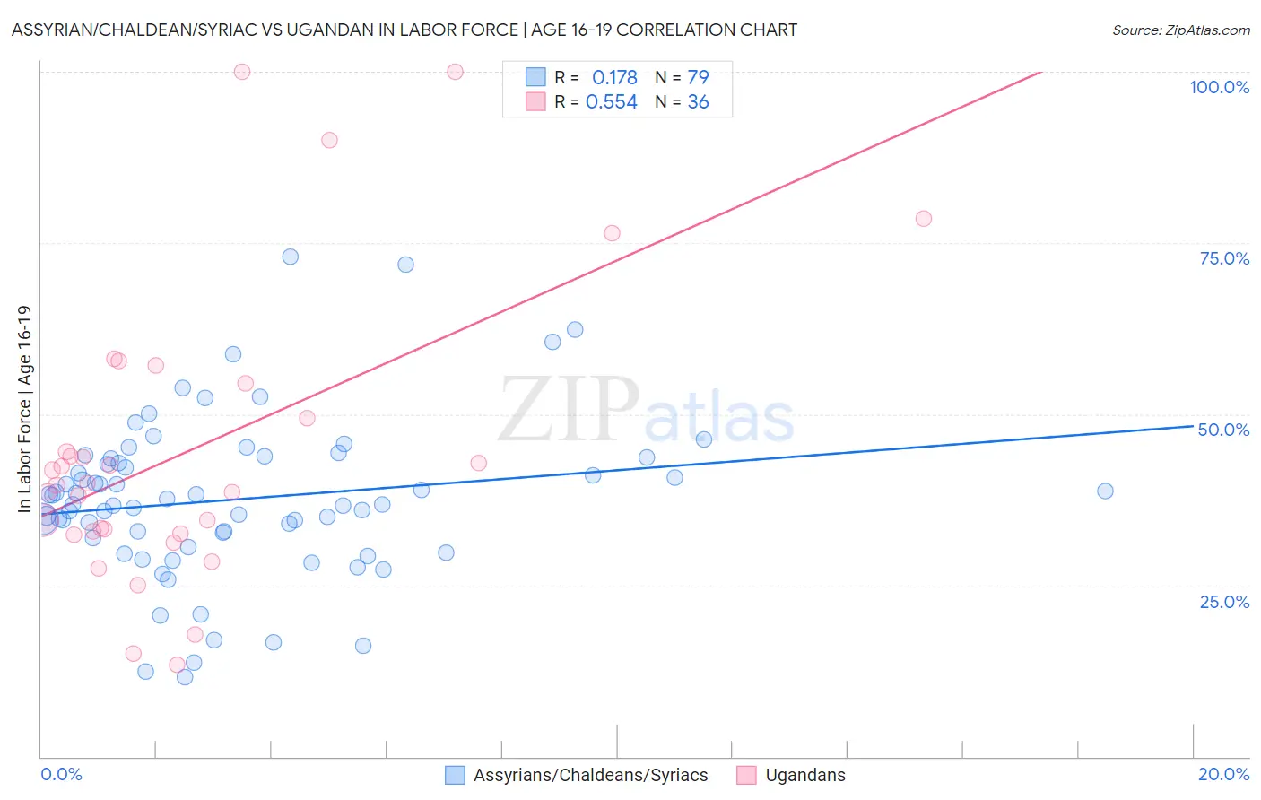 Assyrian/Chaldean/Syriac vs Ugandan In Labor Force | Age 16-19