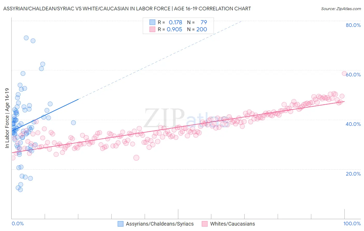 Assyrian/Chaldean/Syriac vs White/Caucasian In Labor Force | Age 16-19