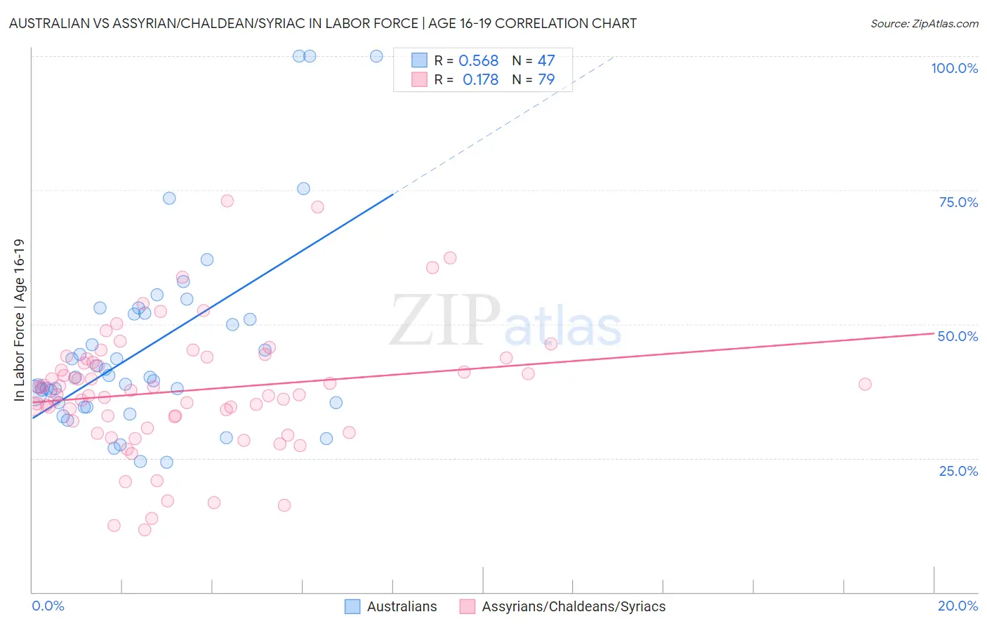 Australian vs Assyrian/Chaldean/Syriac In Labor Force | Age 16-19