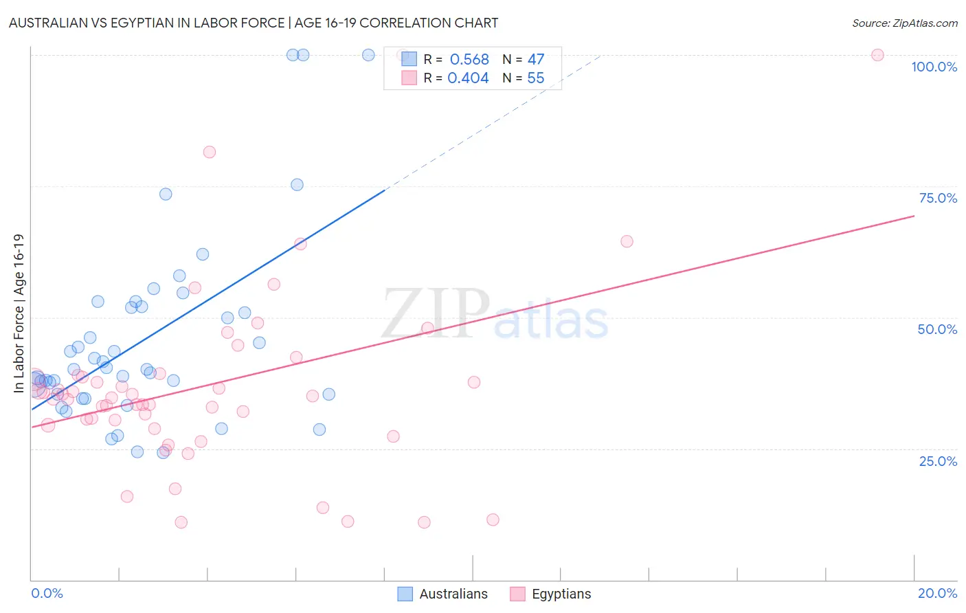 Australian vs Egyptian In Labor Force | Age 16-19