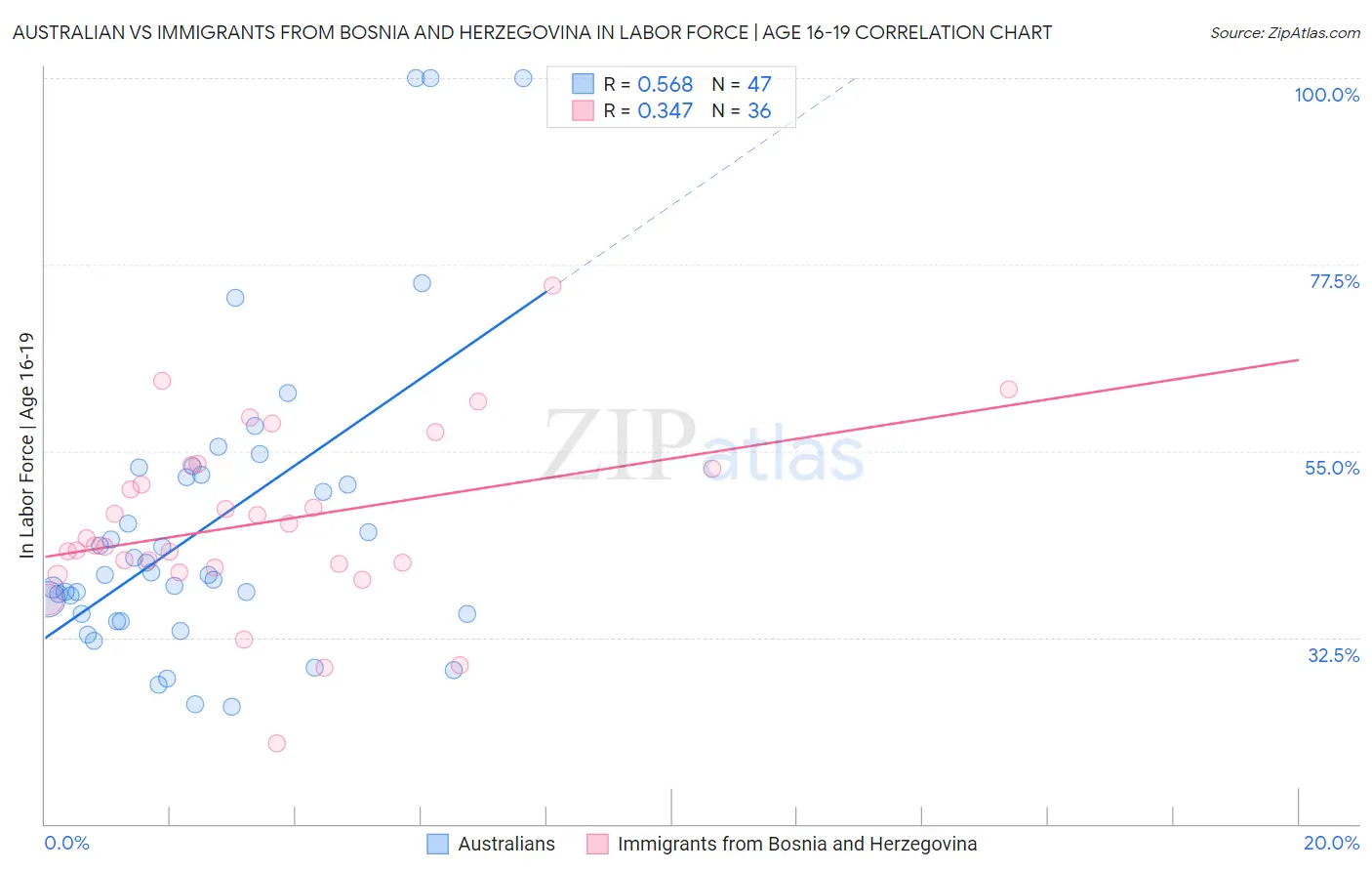 Australian vs Immigrants from Bosnia and Herzegovina In Labor Force | Age 16-19
