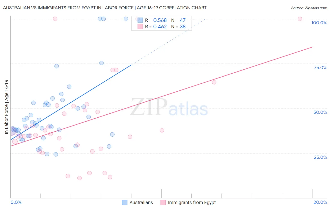 Australian vs Immigrants from Egypt In Labor Force | Age 16-19
