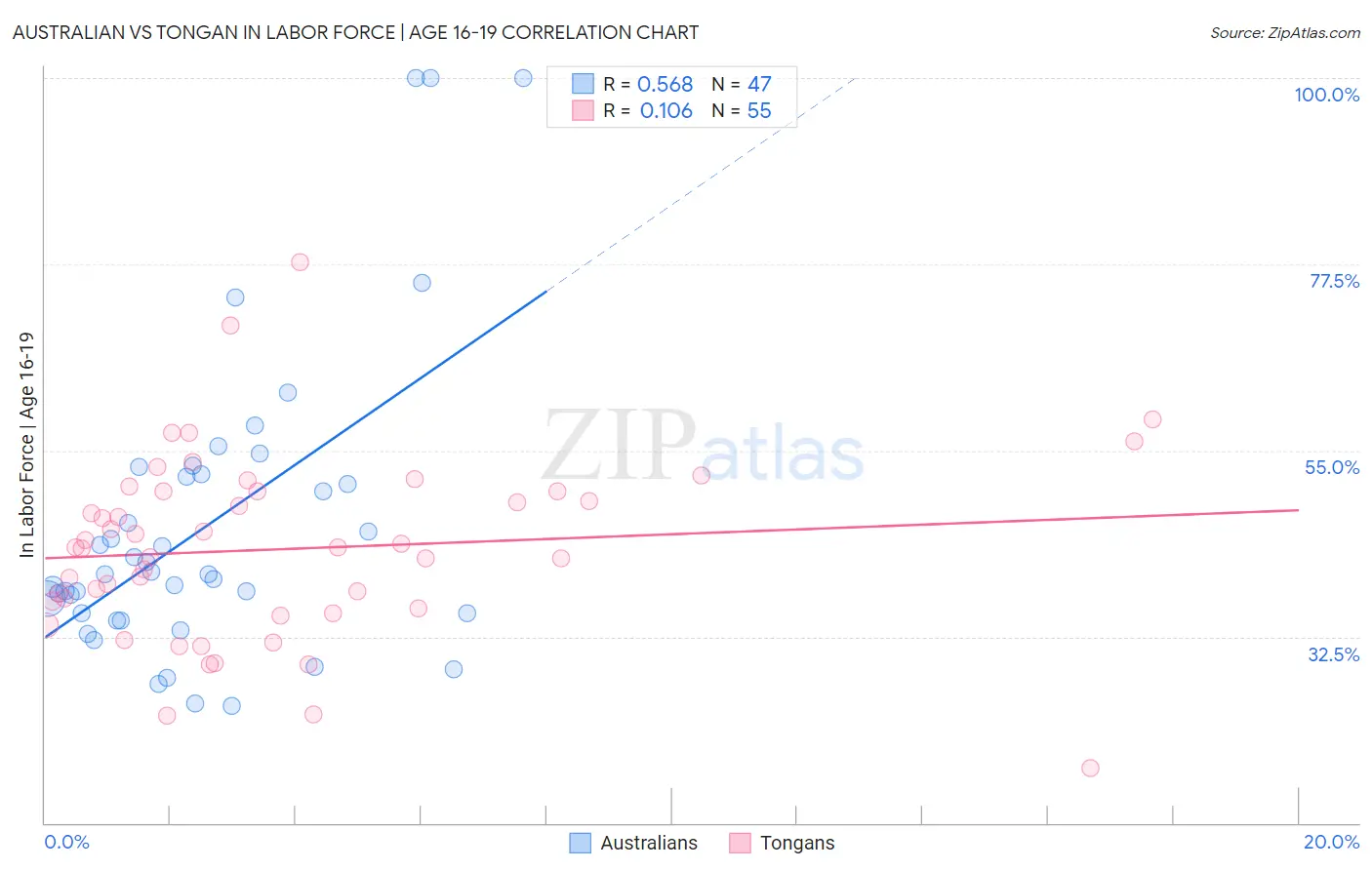 Australian vs Tongan In Labor Force | Age 16-19