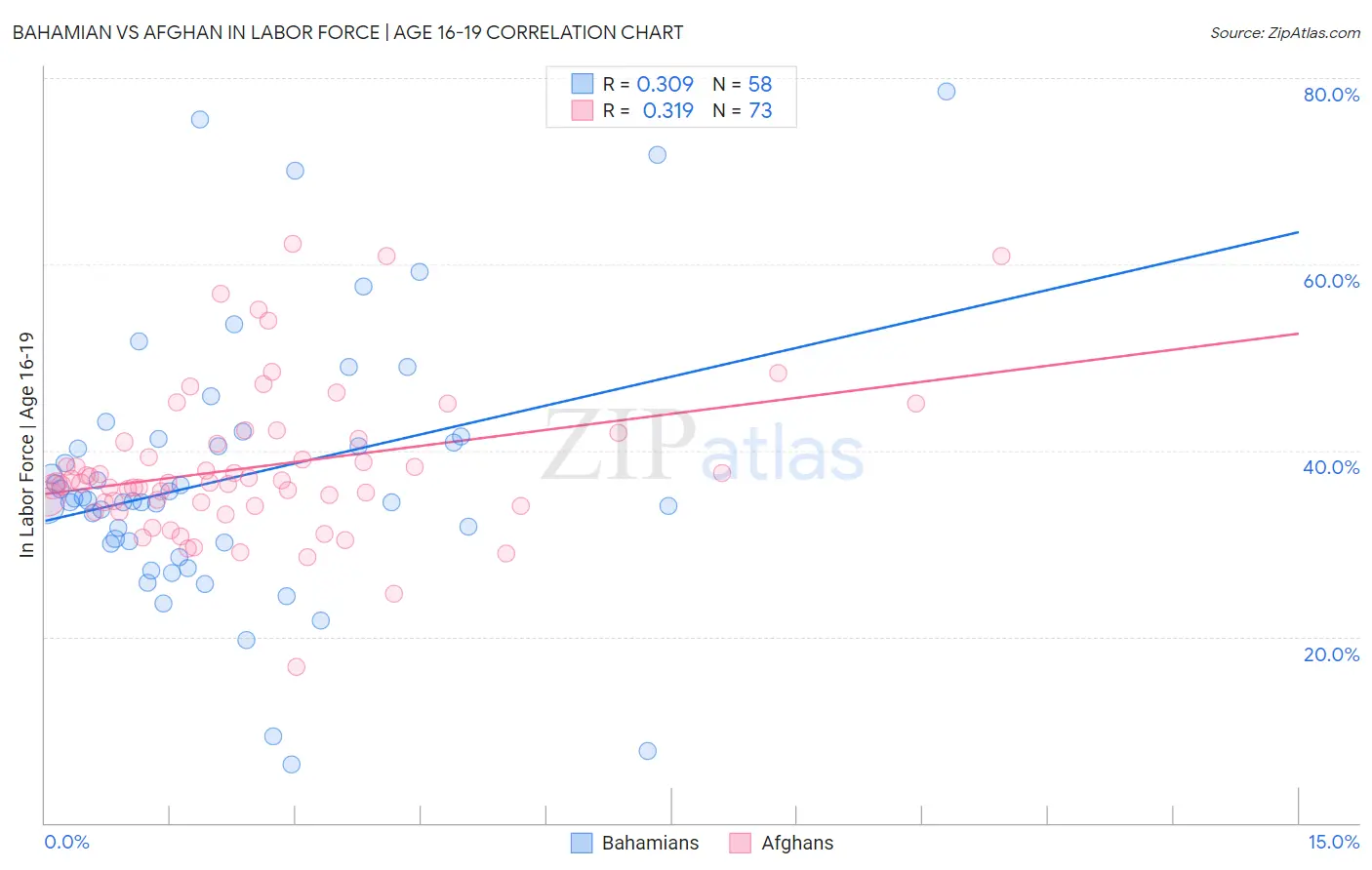 Bahamian vs Afghan In Labor Force | Age 16-19