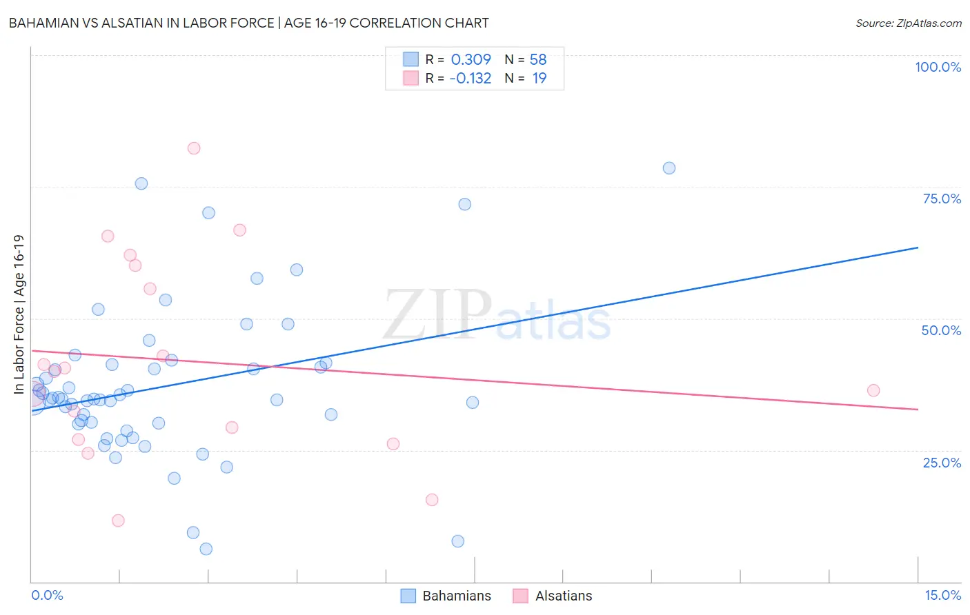 Bahamian vs Alsatian In Labor Force | Age 16-19