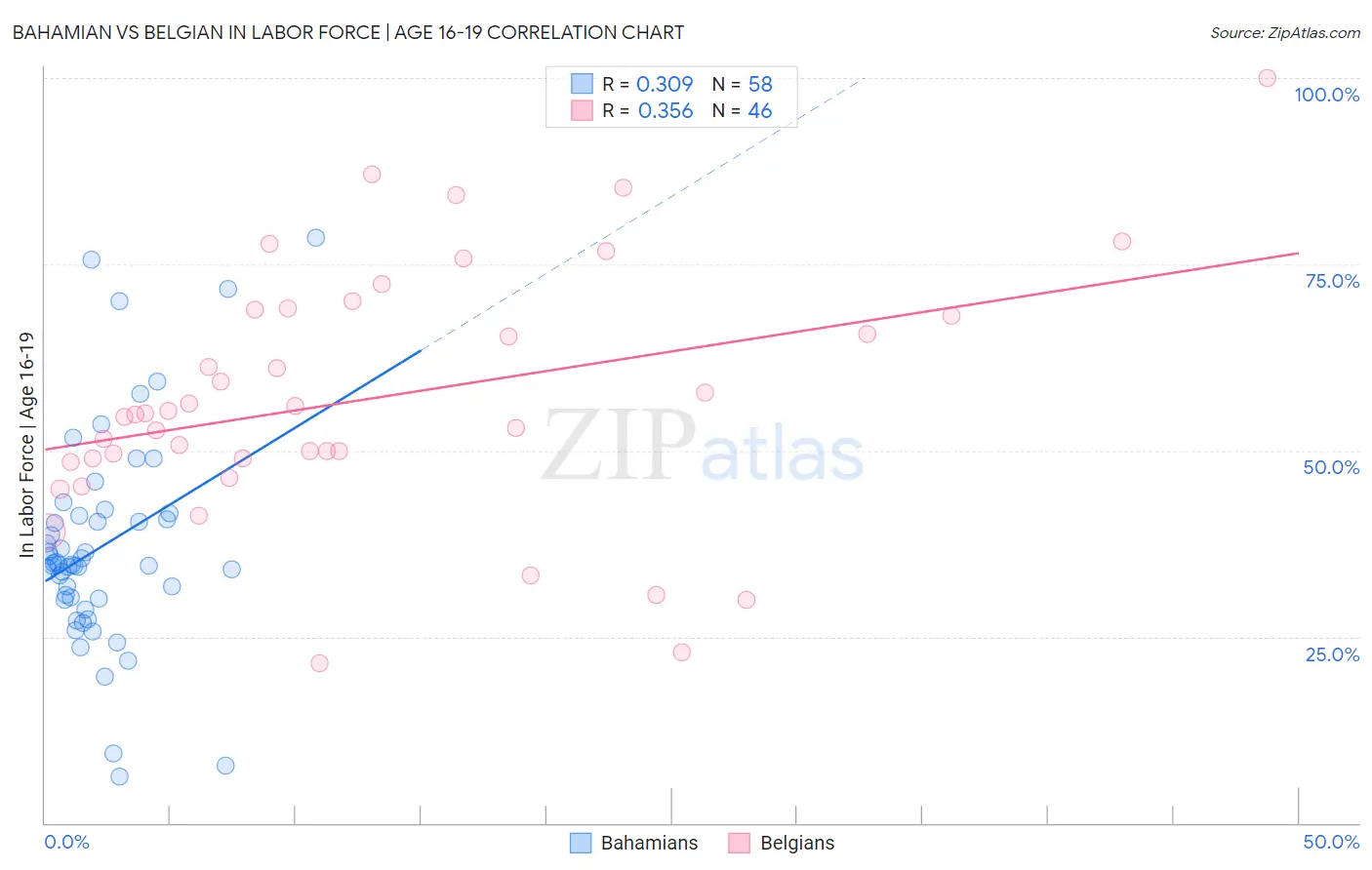 Bahamian vs Belgian In Labor Force | Age 16-19