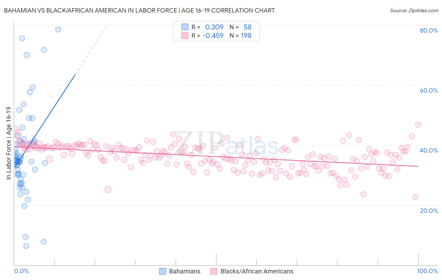 Bahamian vs Black/African American In Labor Force | Age 16-19