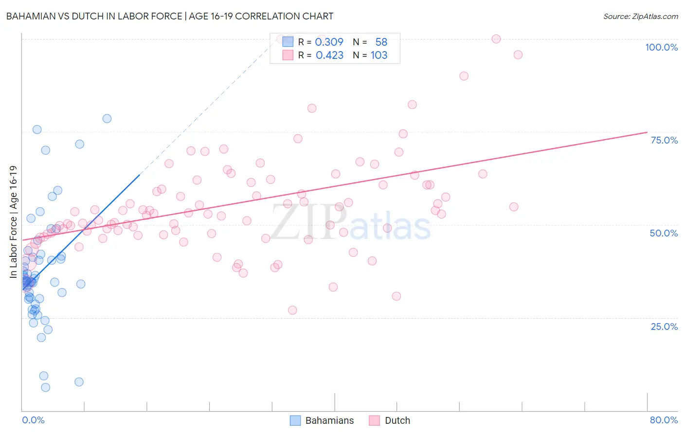 Bahamian vs Dutch In Labor Force | Age 16-19