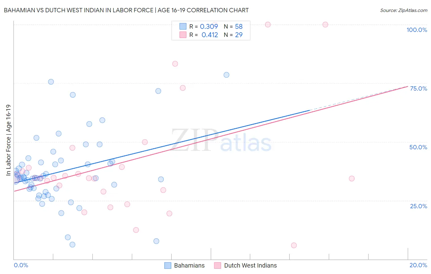 Bahamian vs Dutch West Indian In Labor Force | Age 16-19