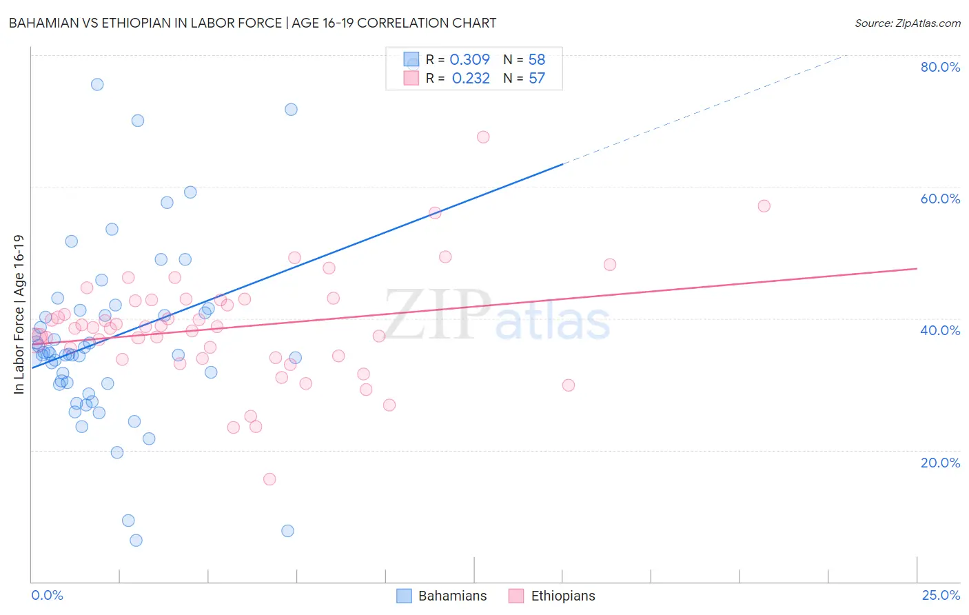 Bahamian vs Ethiopian In Labor Force | Age 16-19