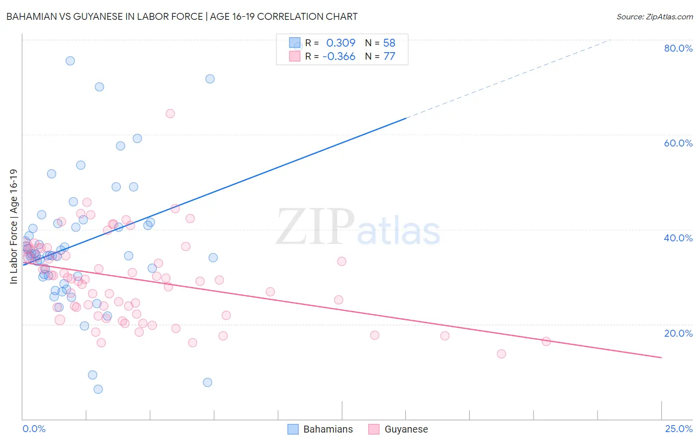 Bahamian vs Guyanese In Labor Force | Age 16-19