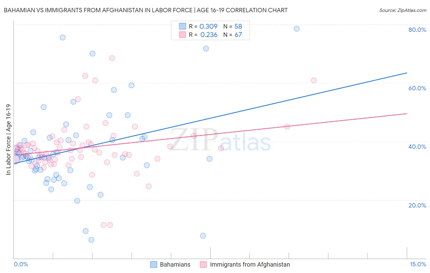 Bahamian vs Immigrants from Afghanistan In Labor Force | Age 16-19