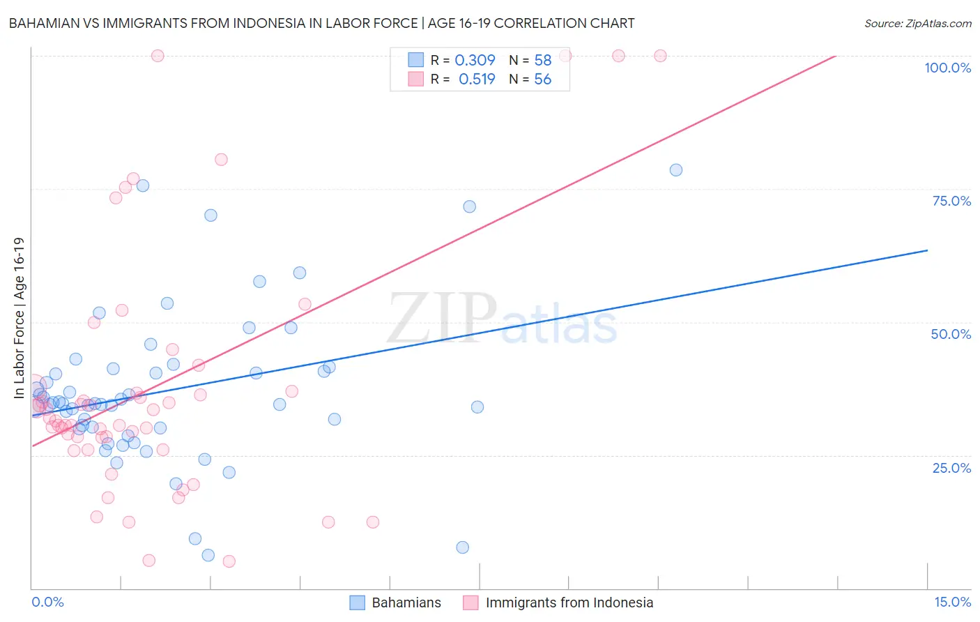 Bahamian vs Immigrants from Indonesia In Labor Force | Age 16-19