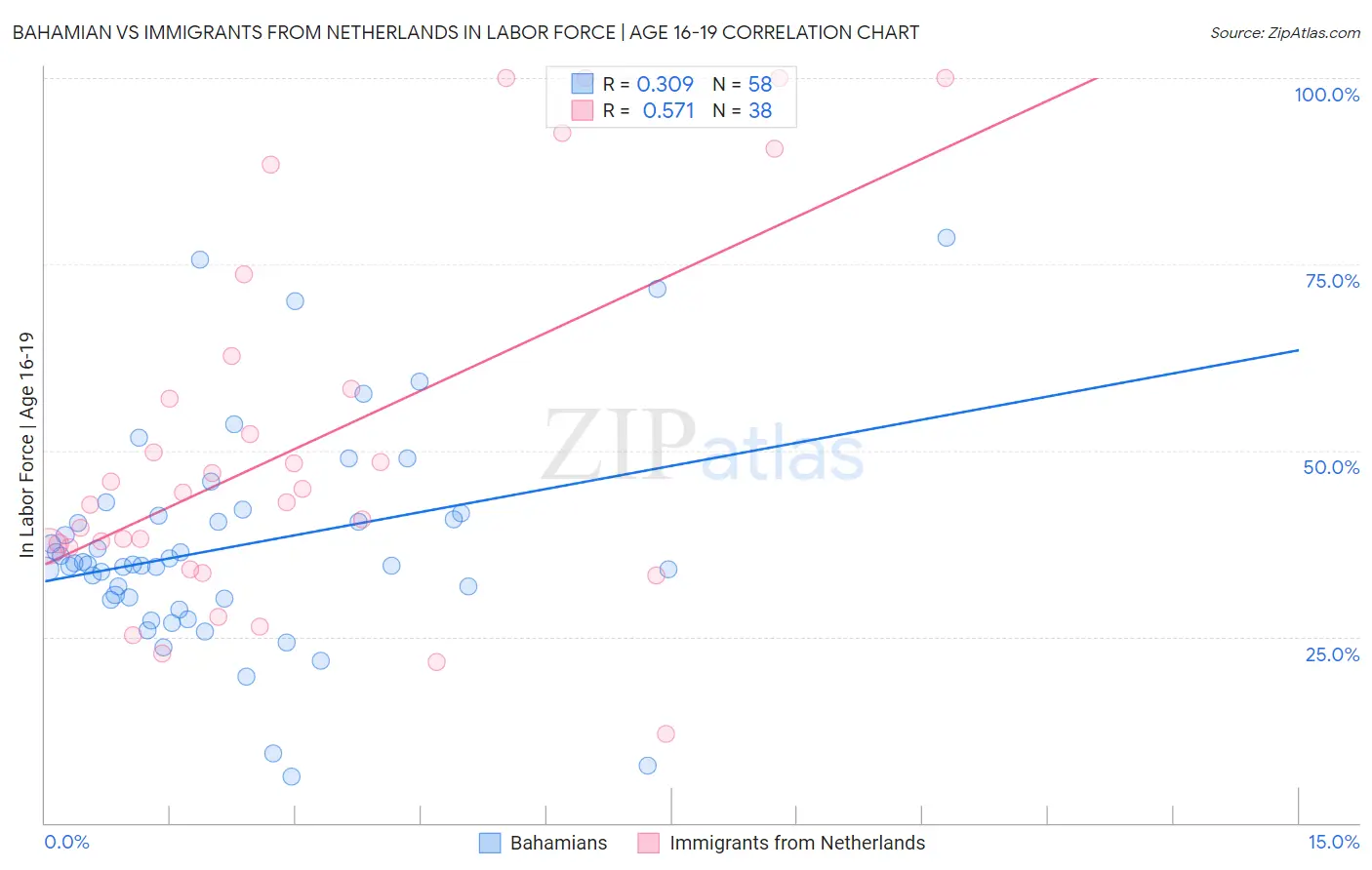 Bahamian vs Immigrants from Netherlands In Labor Force | Age 16-19