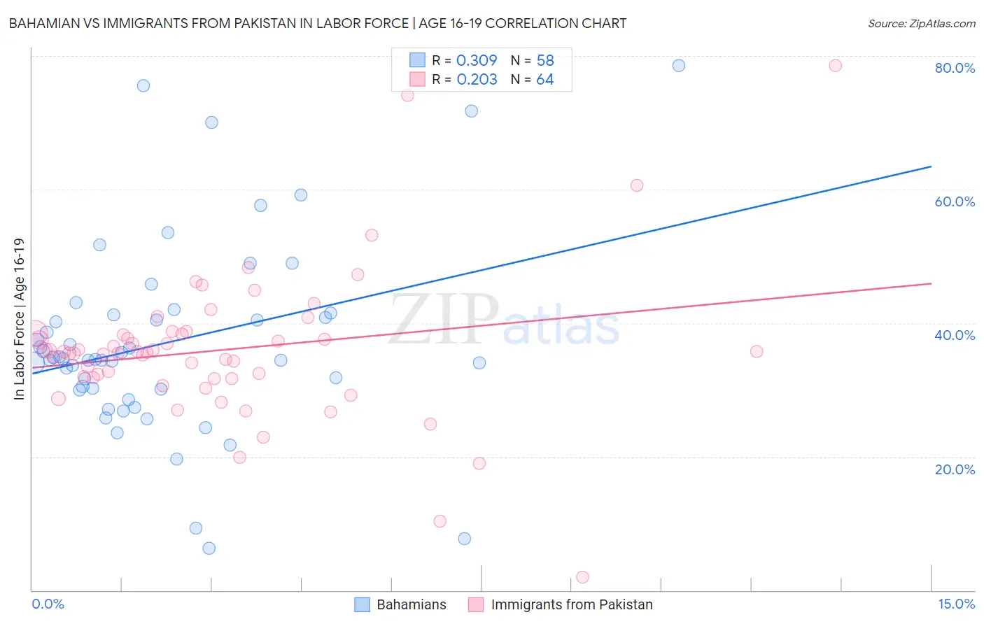 Bahamian vs Immigrants from Pakistan In Labor Force | Age 16-19