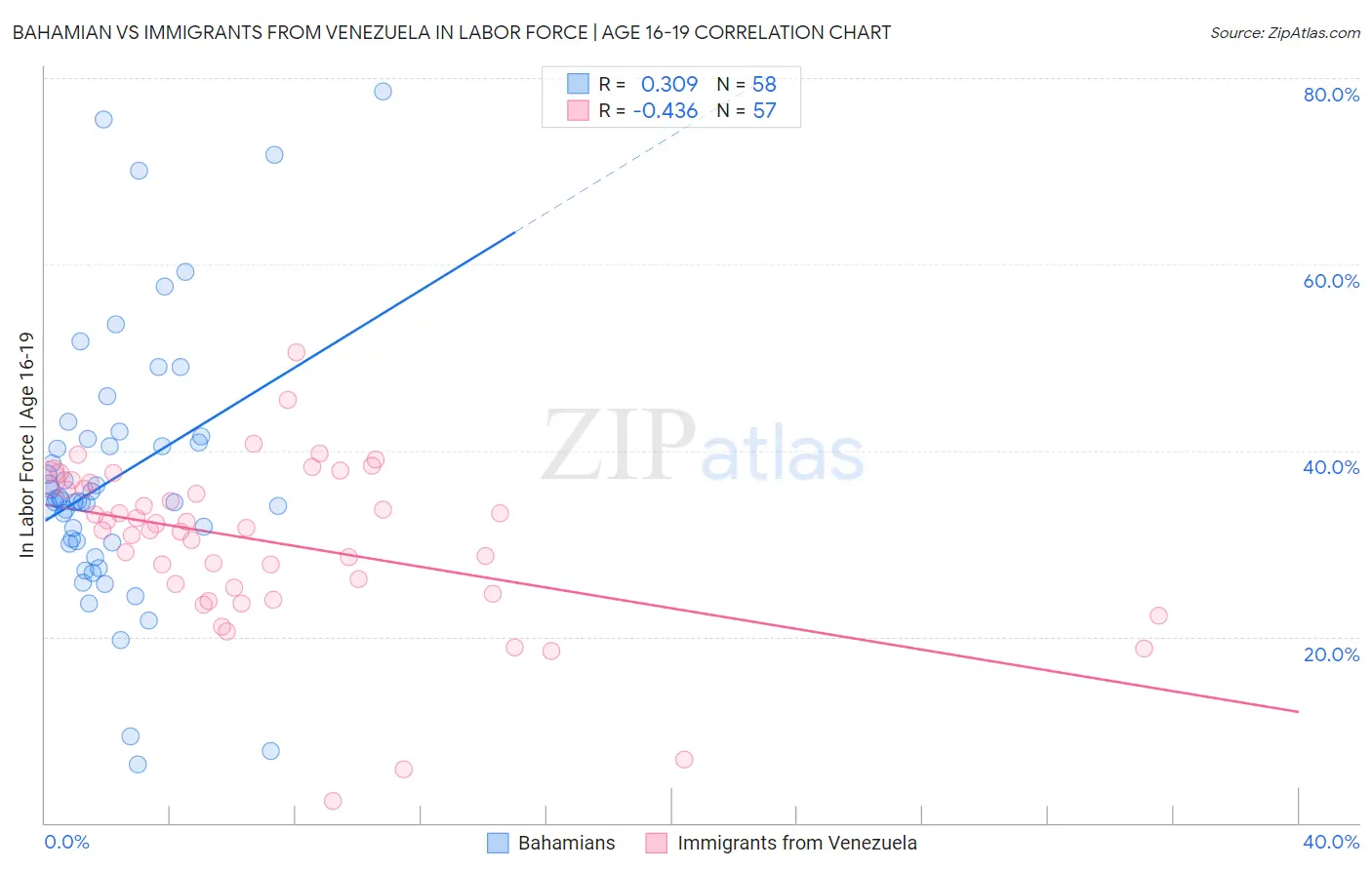 Bahamian vs Immigrants from Venezuela In Labor Force | Age 16-19