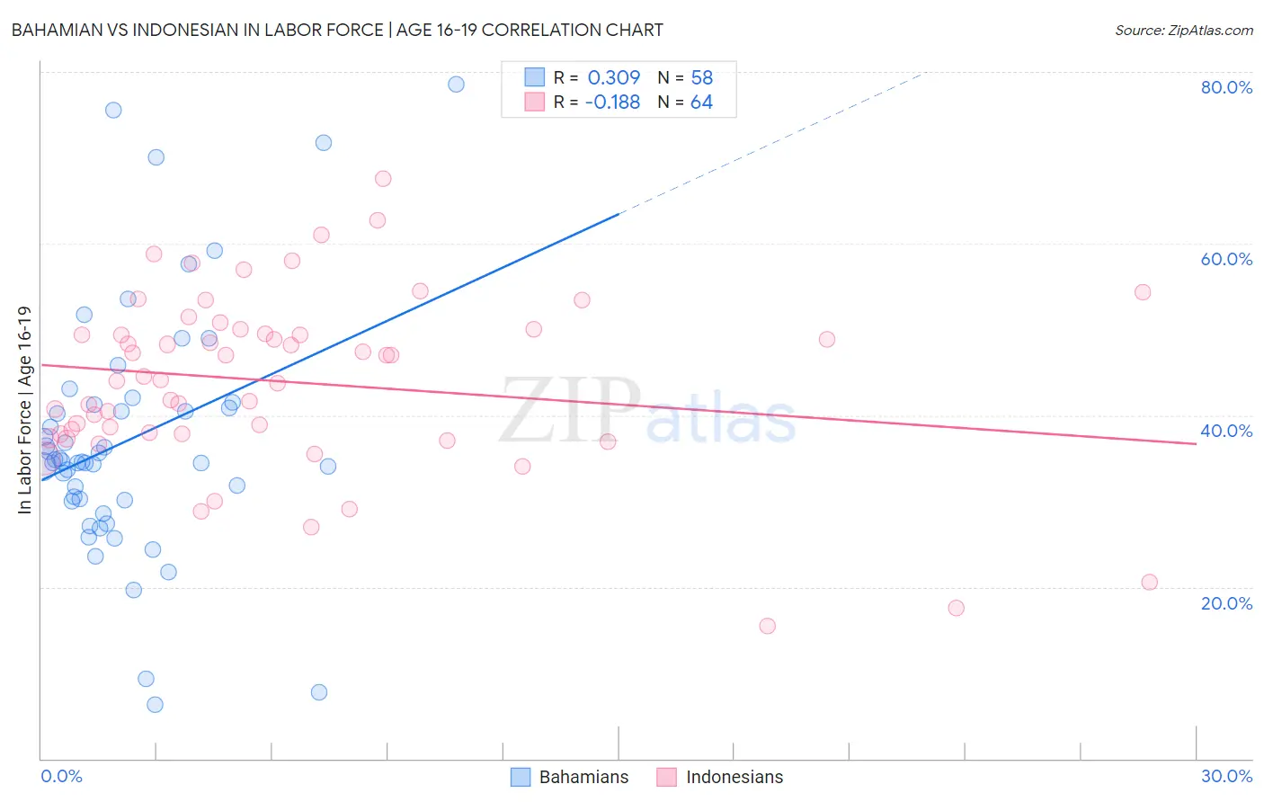 Bahamian vs Indonesian In Labor Force | Age 16-19