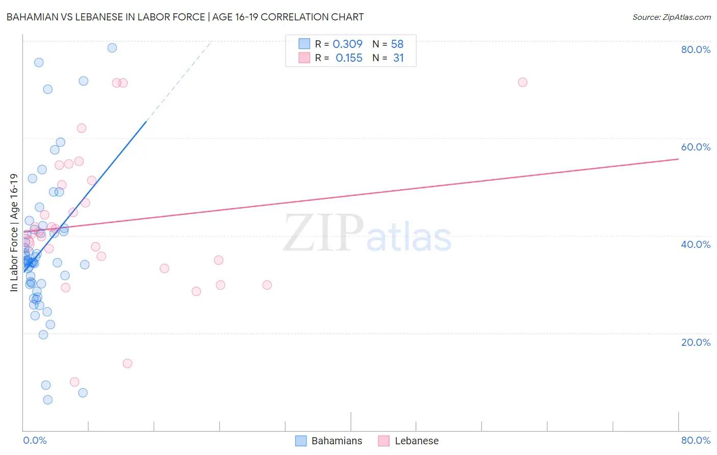 Bahamian vs Lebanese In Labor Force | Age 16-19