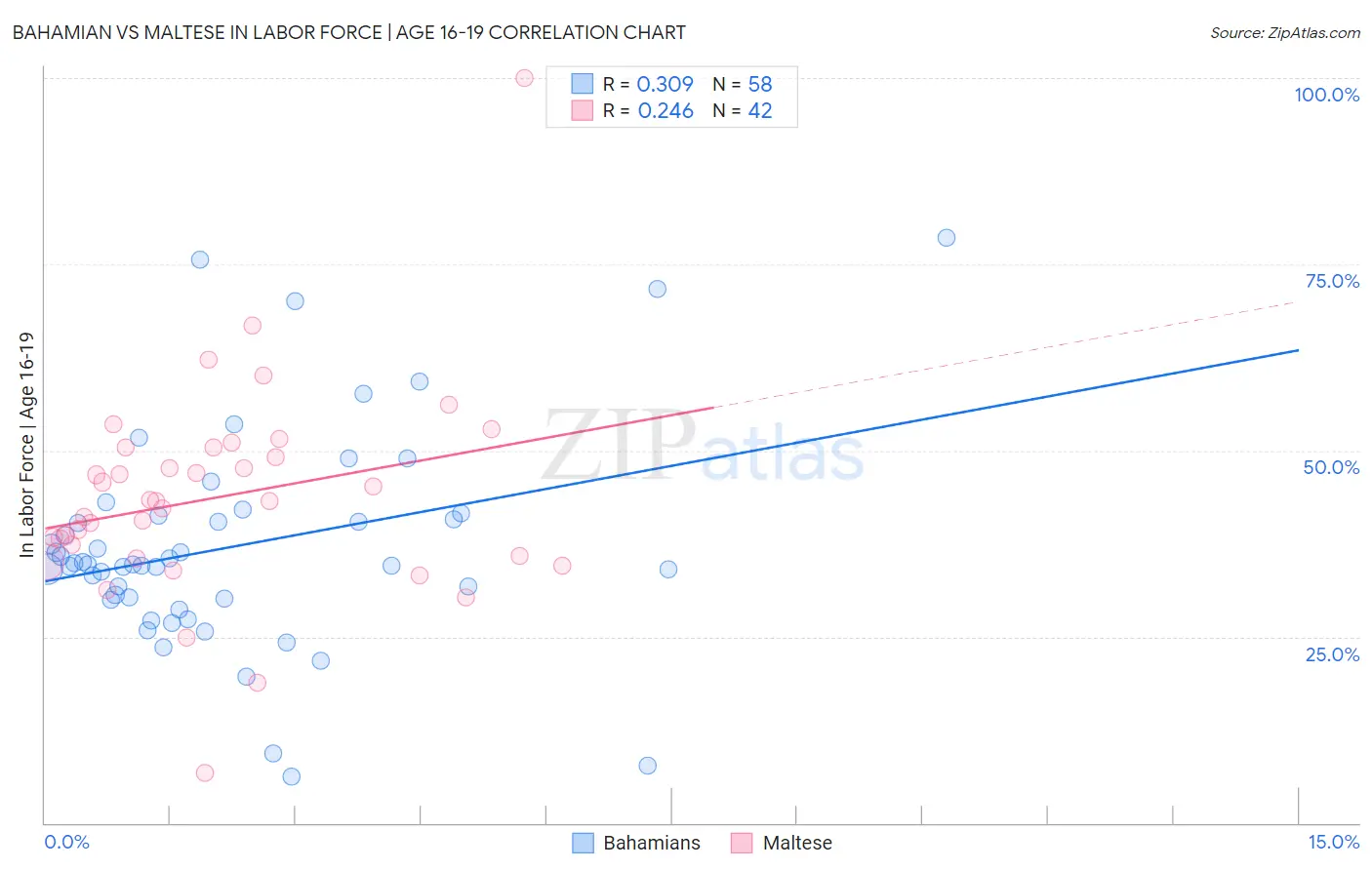 Bahamian vs Maltese In Labor Force | Age 16-19