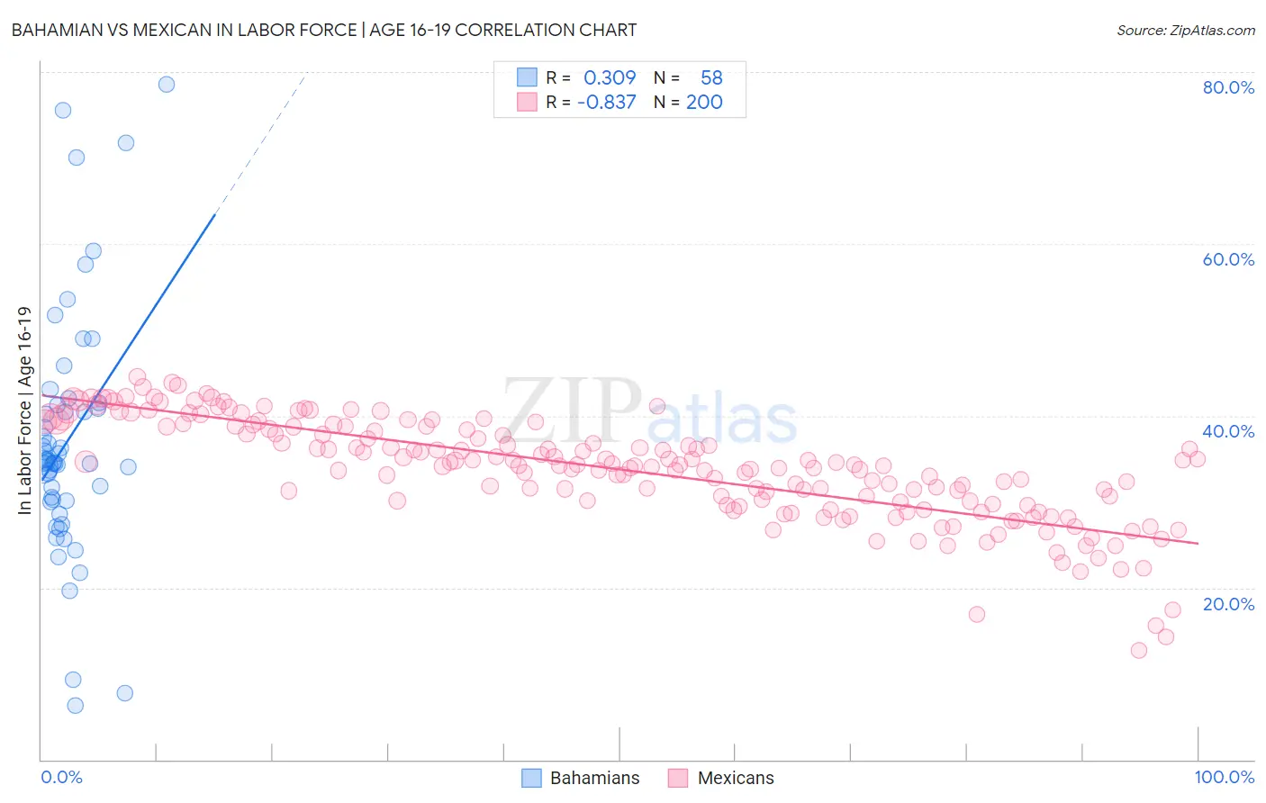 Bahamian vs Mexican In Labor Force | Age 16-19