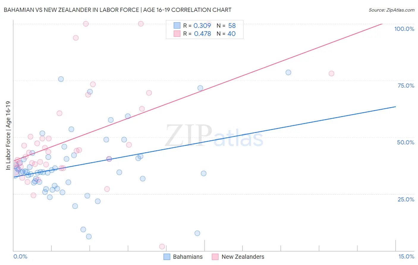 Bahamian vs New Zealander In Labor Force | Age 16-19