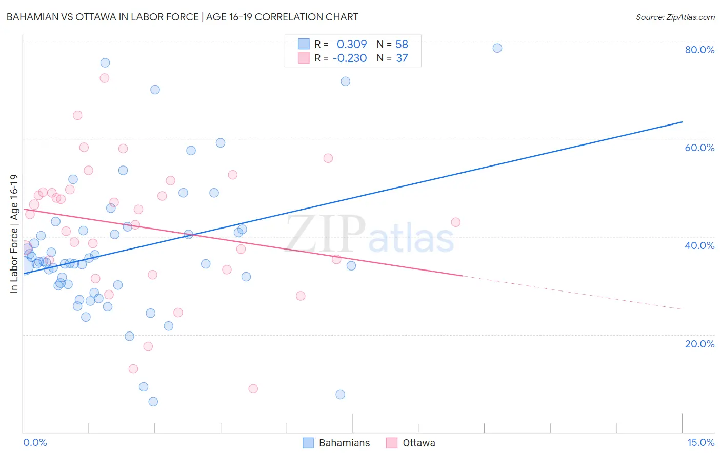 Bahamian vs Ottawa In Labor Force | Age 16-19