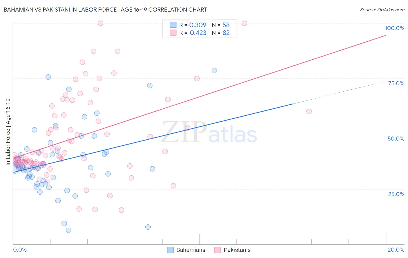 Bahamian vs Pakistani In Labor Force | Age 16-19