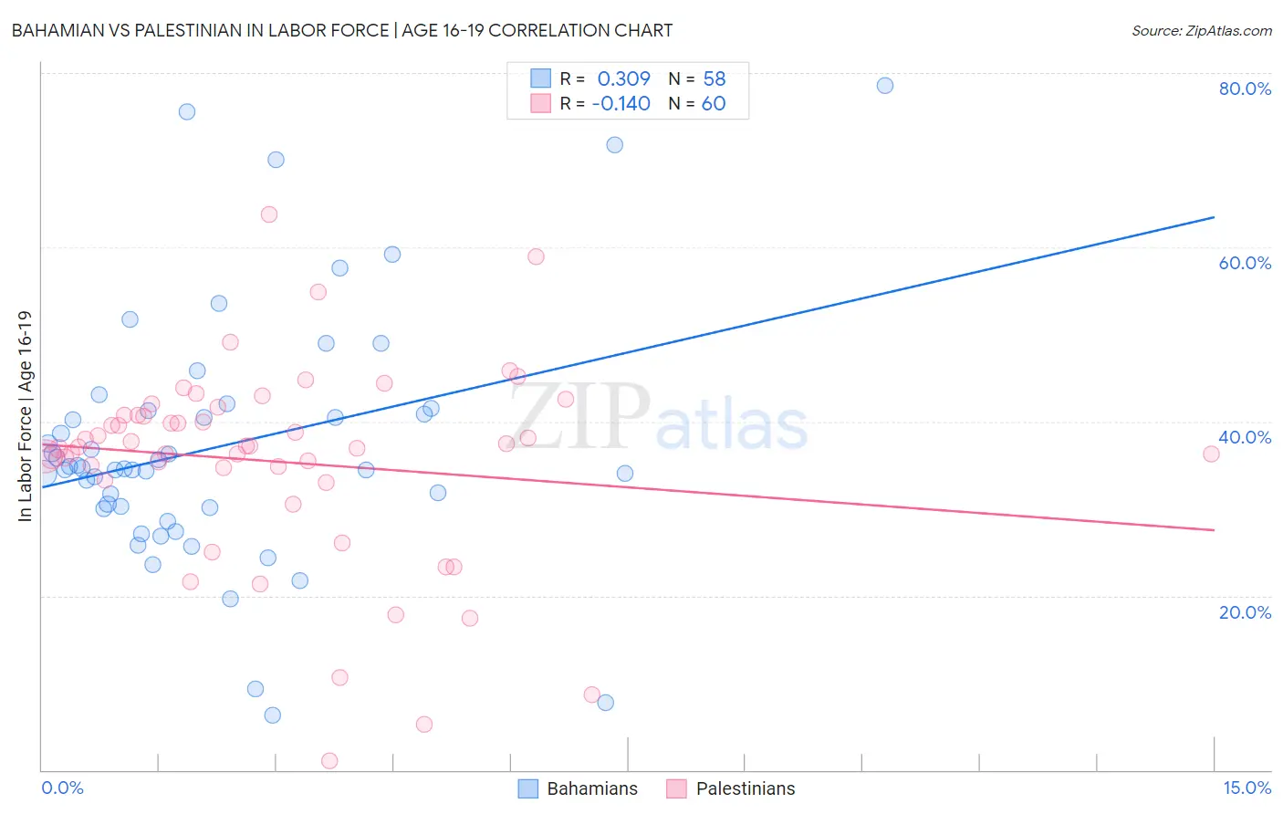 Bahamian vs Palestinian In Labor Force | Age 16-19