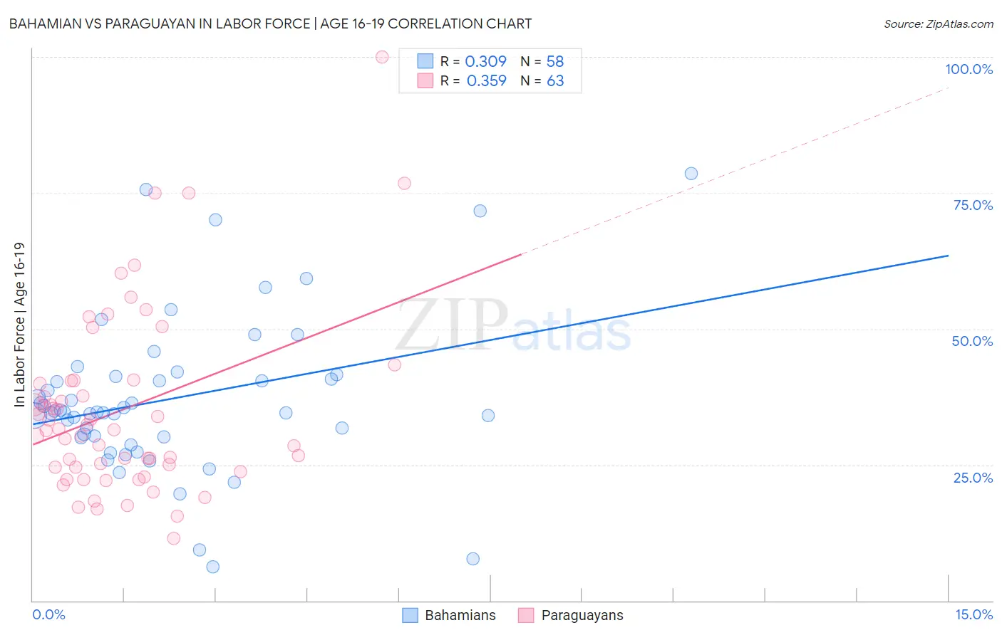 Bahamian vs Paraguayan In Labor Force | Age 16-19