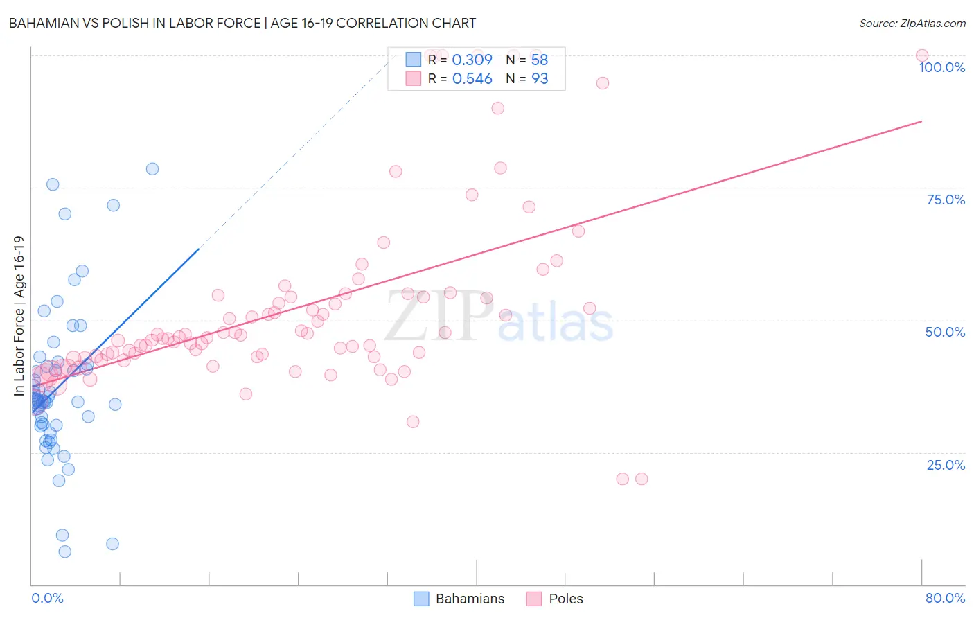 Bahamian vs Polish In Labor Force | Age 16-19