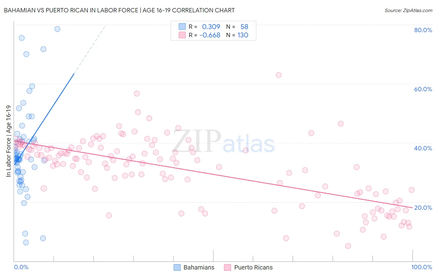 Bahamian vs Puerto Rican In Labor Force | Age 16-19