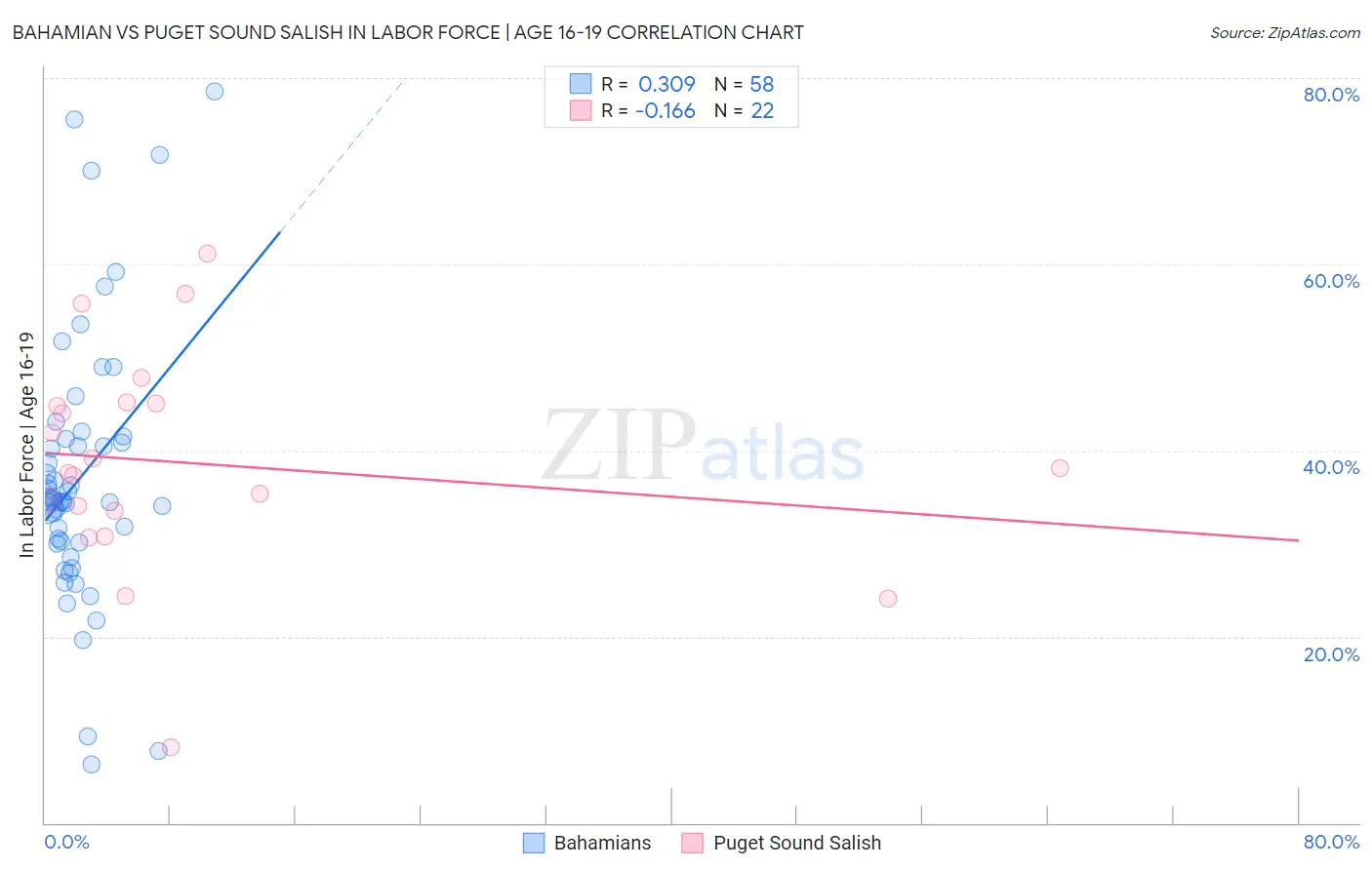 Bahamian vs Puget Sound Salish In Labor Force | Age 16-19