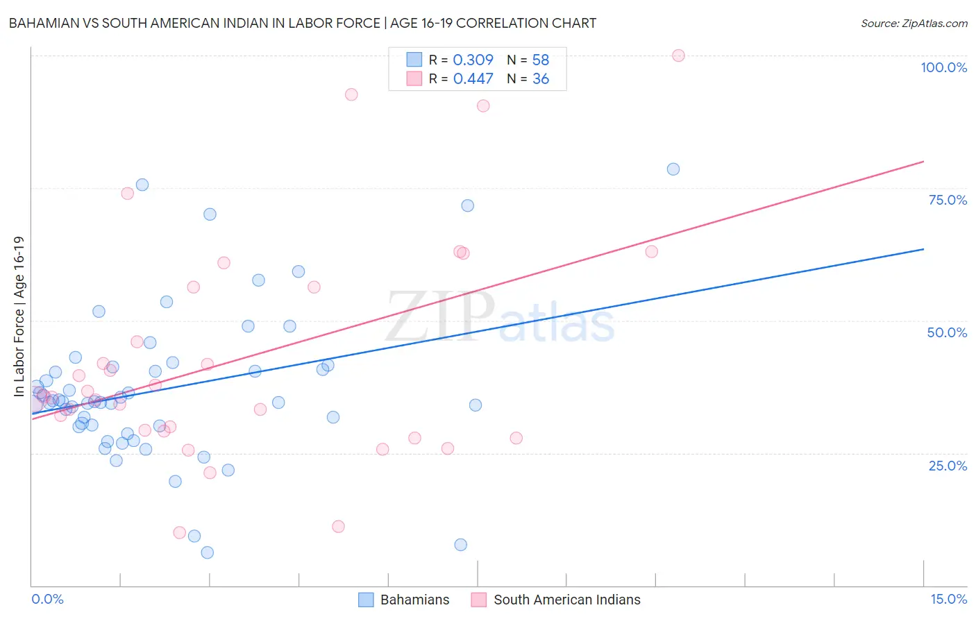 Bahamian vs South American Indian In Labor Force | Age 16-19