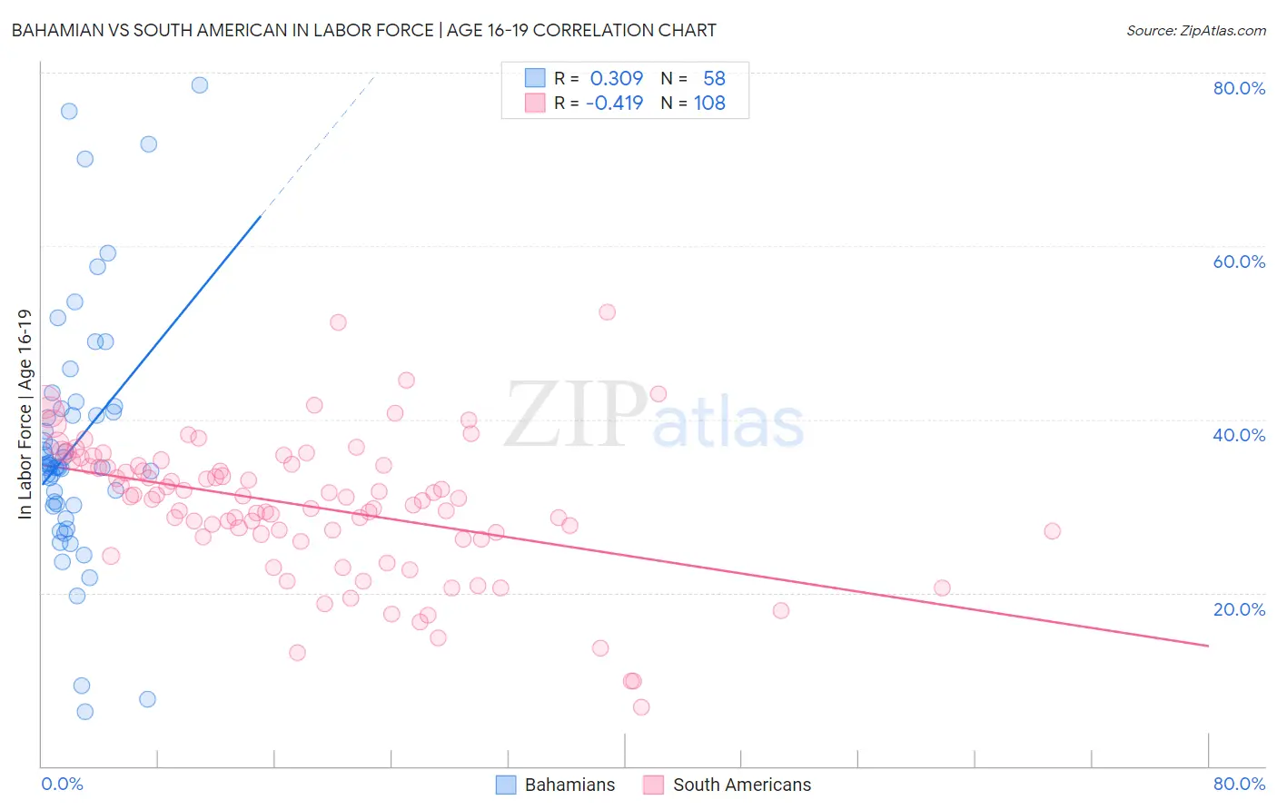 Bahamian vs South American In Labor Force | Age 16-19