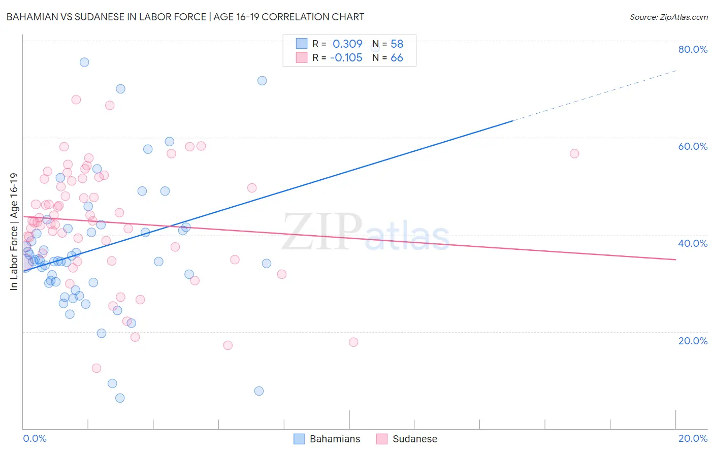 Bahamian vs Sudanese In Labor Force | Age 16-19