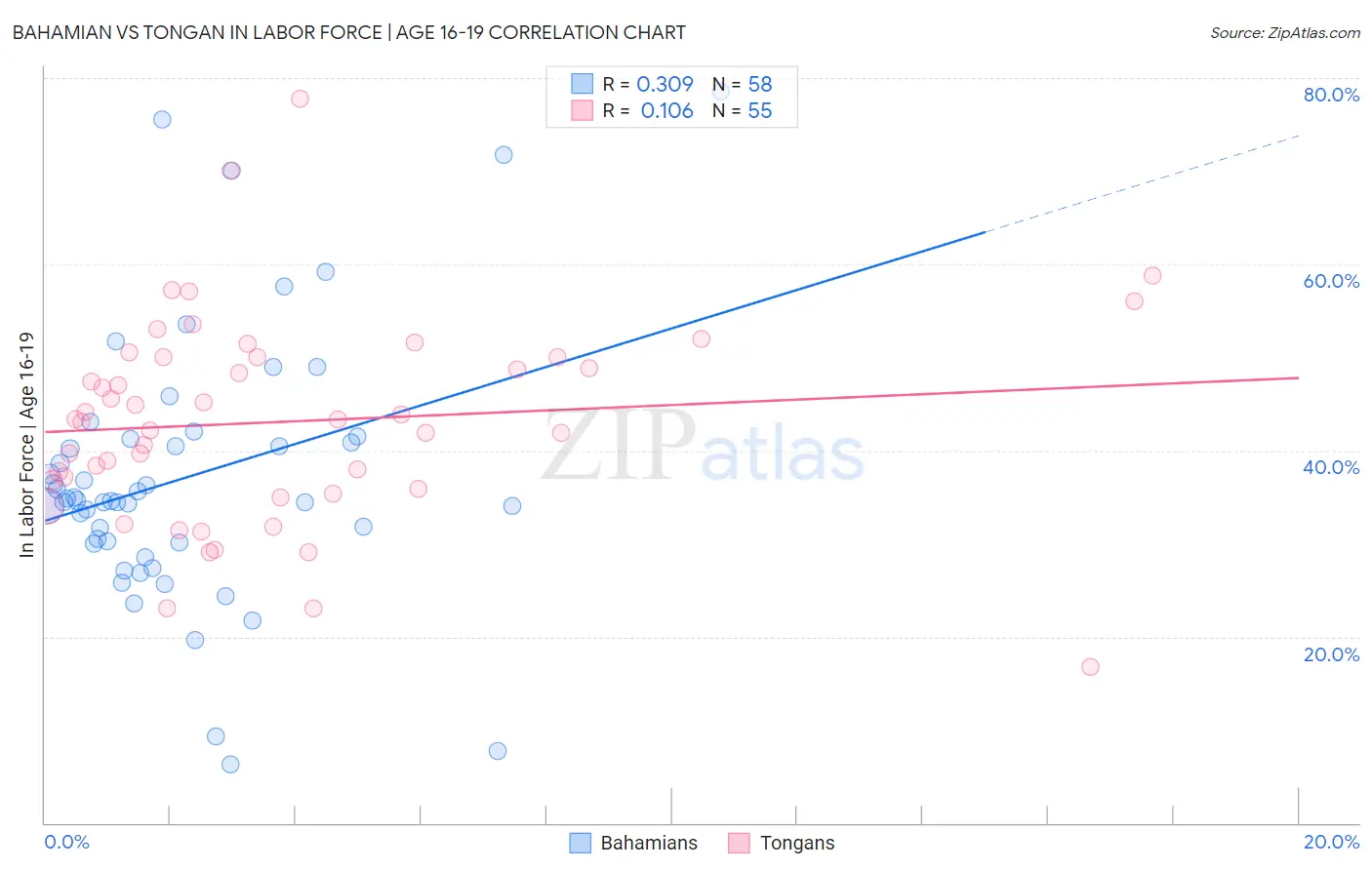 Bahamian vs Tongan In Labor Force | Age 16-19