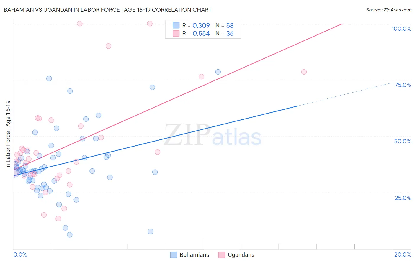 Bahamian vs Ugandan In Labor Force | Age 16-19